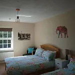 بيت شباب The River House