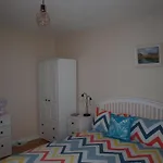 بيت شباب The River House دونغلو