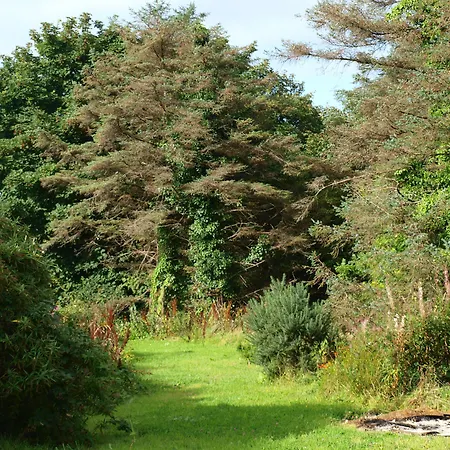 The River House ホステル