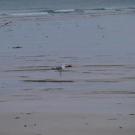 The River House ホステル