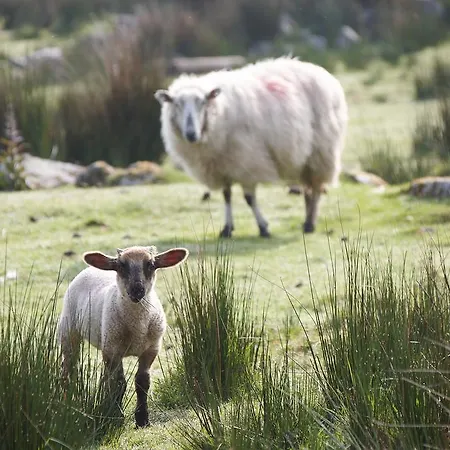 Hostel The River House