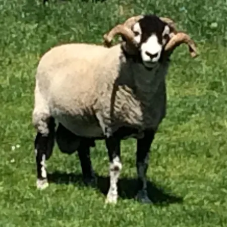 ホステル The River House *