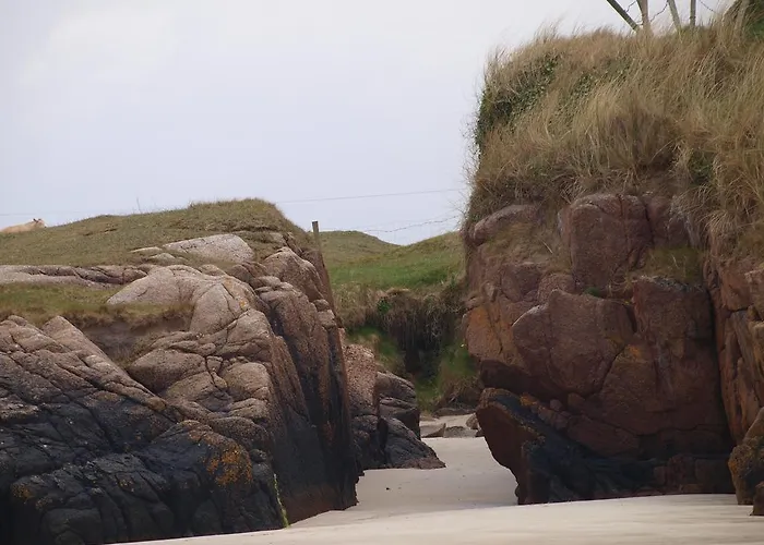 Hostel The River House