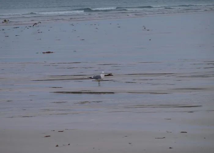 The River House Hostel