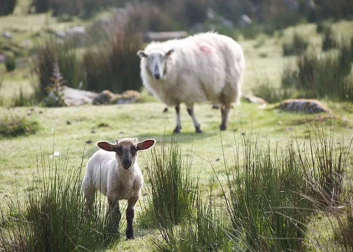 Hostel The River House
